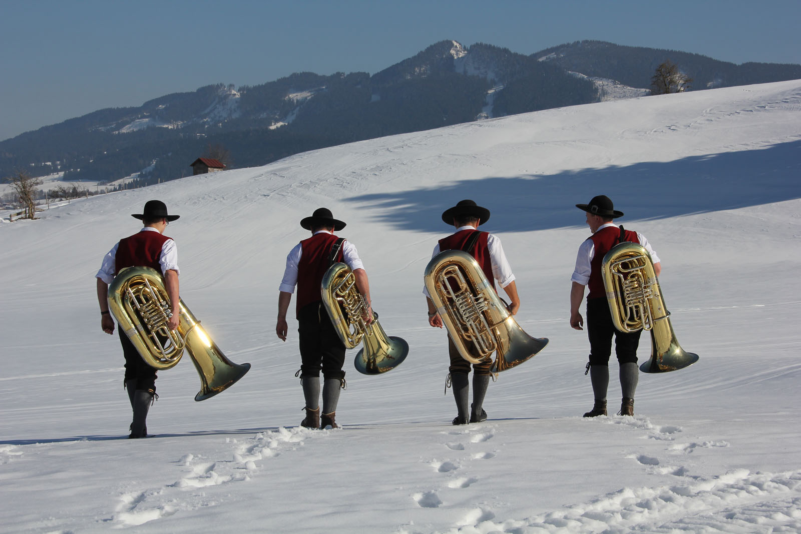 Musikkapelle Mittelberg-Faistenoy Register Tuba